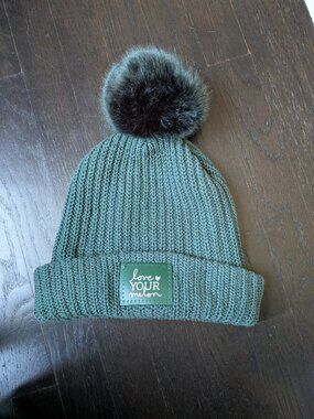 Love Your Melon Sage Green Chunky Knit Faux Fur Pom Beanie